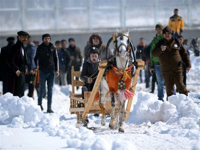 Atlı Kızak Türkiye Şampiyonası, Erzurum'da sona erdi.