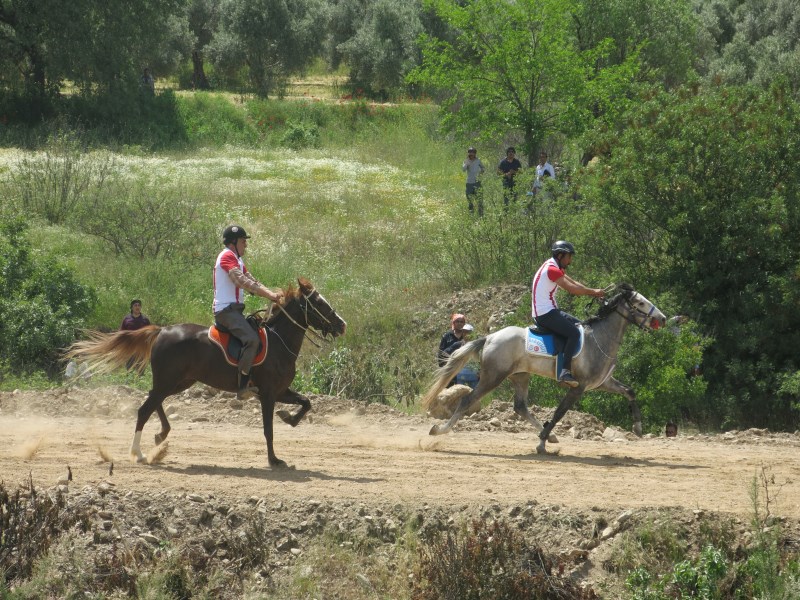 III-Geleneksel Rahvan-At Yarışları-8
